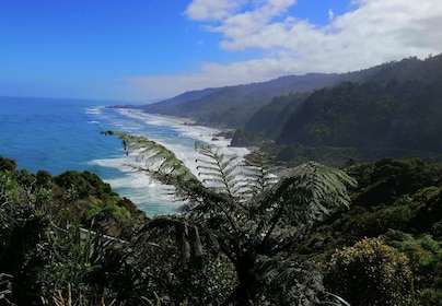 Fra Greymouth: Høydepunkter West Coast Day Tour