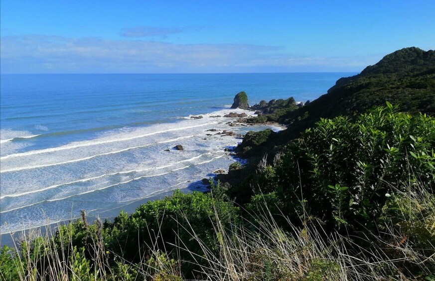 Picture 28 for Activity From Greymouth: Highlights West Coast Day Tour