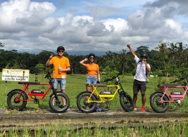 Picture 3 for Activity Half-Day Electric Fat Tire Bike Tour of Ubud