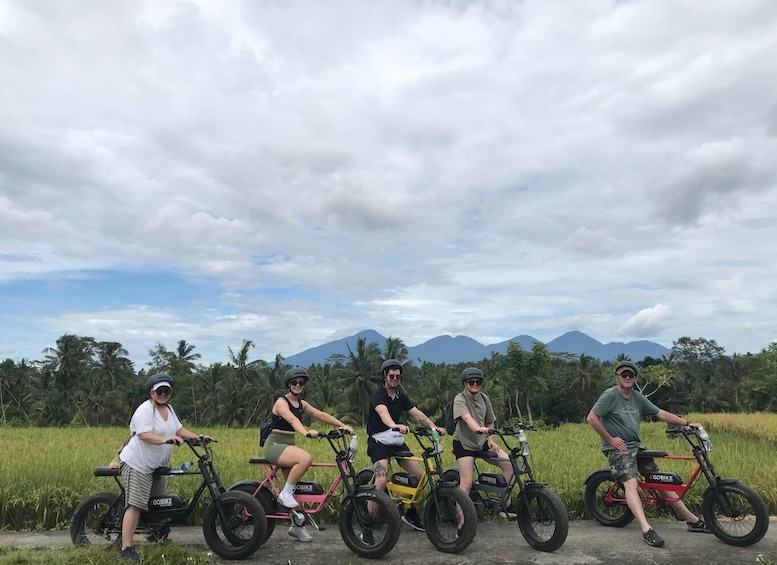 Half-Day Electric Fat Tire Bike Tour of Ubud