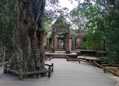 1-dags privat Angkor-tempeltur fra Siem Reap