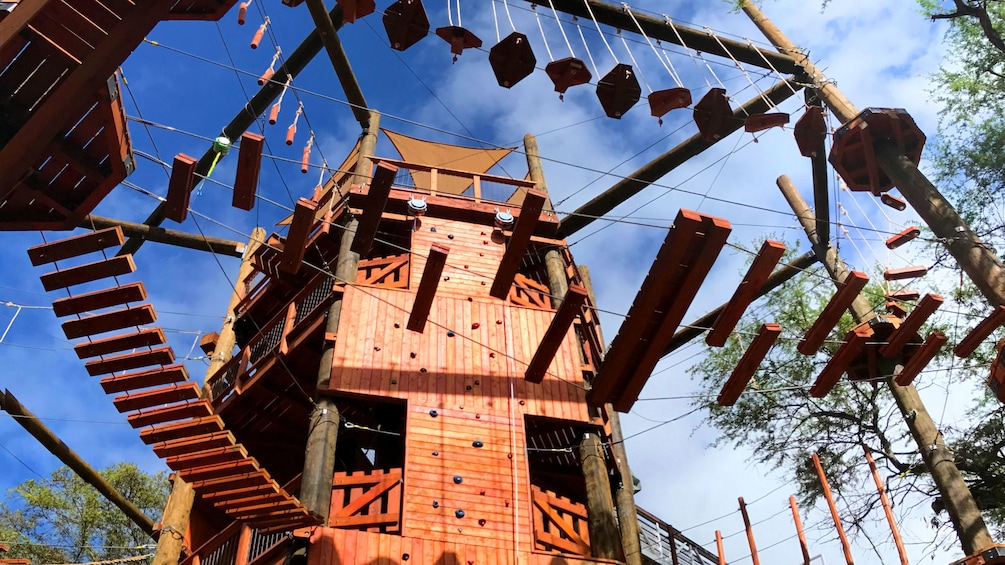 Upward angle of a Ninja adventure course