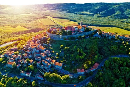 Motovun: recorrido de senderismo por el sendero de los gigantes y degustaci...