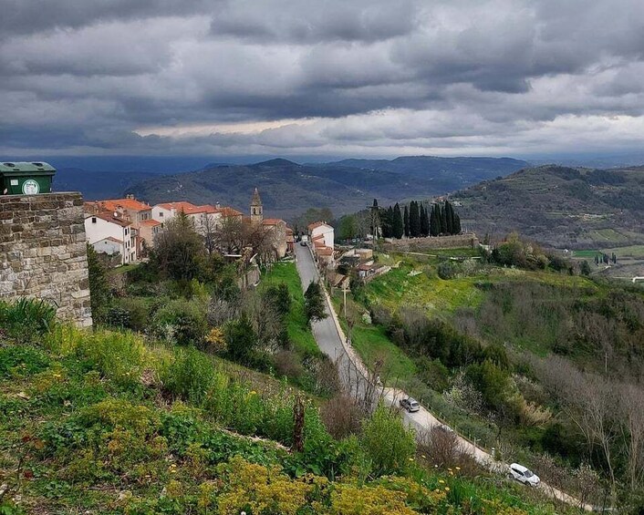 Picture 6 for Activity Motovun: The trail of Giants hiking tour & Fritule Tasting