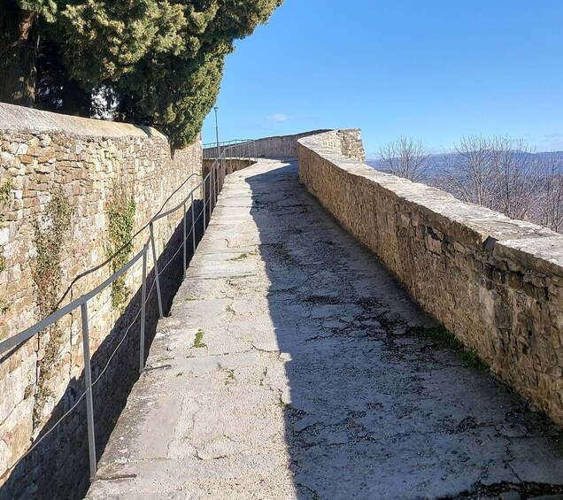 Picture 8 for Activity Motovun: The trail of Giants hiking tour & Fritule Tasting