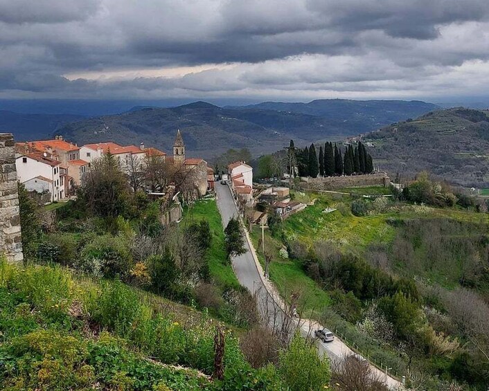 Picture 6 for Activity Motovun: The trail of Giants hiking tour & Fritule Tasting