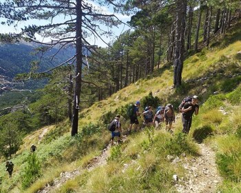 Vlore : Daily hiking at Qorre Peak, Llogara National Park