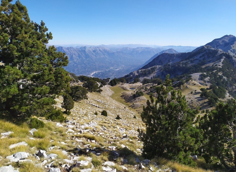 Picture 3 for Activity Vlore : Daily hiking at Qorre Peak, Llogara National Park