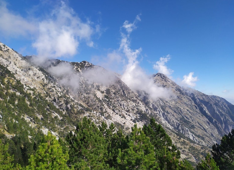 Picture 2 for Activity Vlore : Daily hiking at Qorre Peak, Llogara National Park