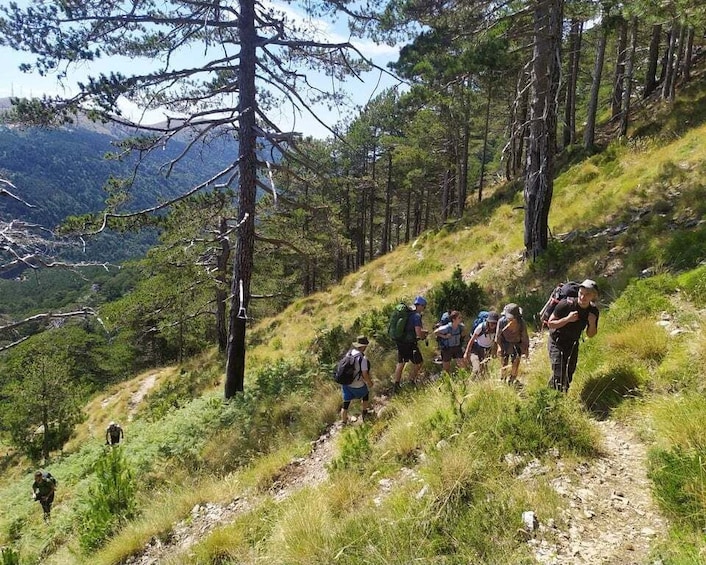 Vlore : Daily hiking at Qorre Peak, Llogara National Park