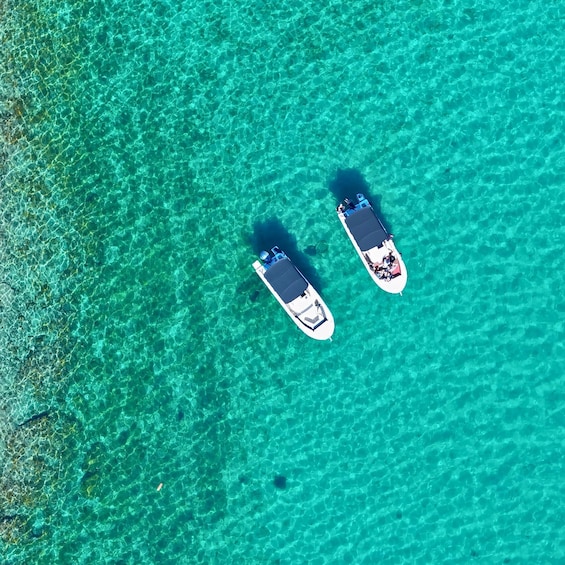 Picture 2 for Activity From Zadar: Island-Hopping Speedboat Tour with Drinks