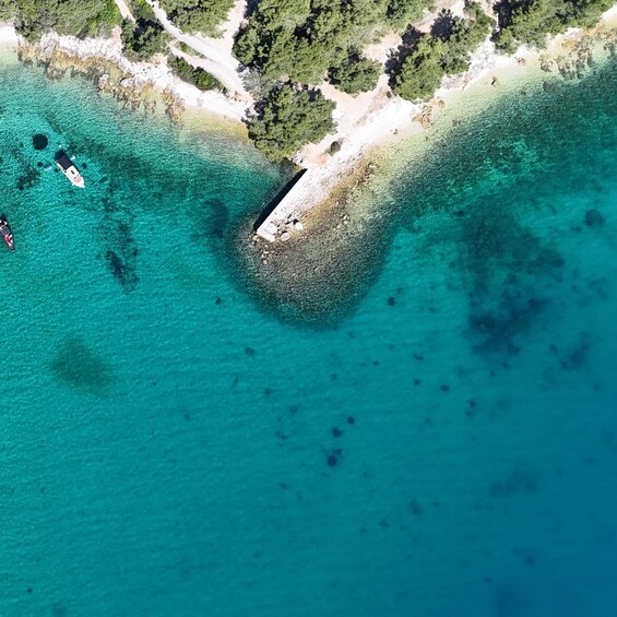 Picture 7 for Activity From Zadar: Island-Hopping Speedboat Tour with Drinks