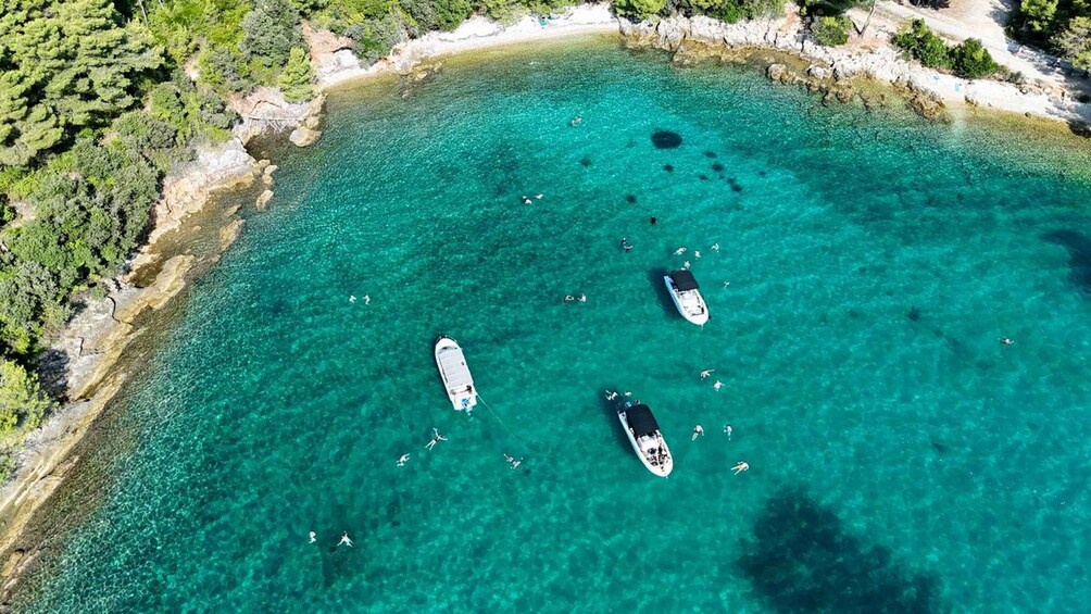 Picture 1 for Activity From Zadar: Island-Hopping Speedboat Tour with Drinks