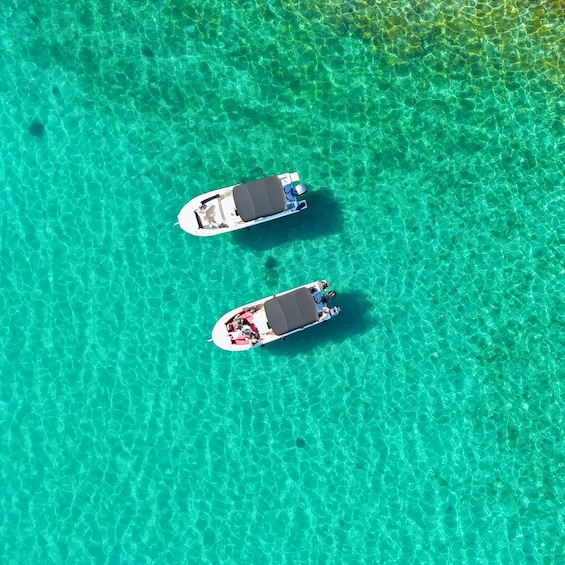 Picture 3 for Activity From Zadar: Island-Hopping Speedboat Tour with Drinks