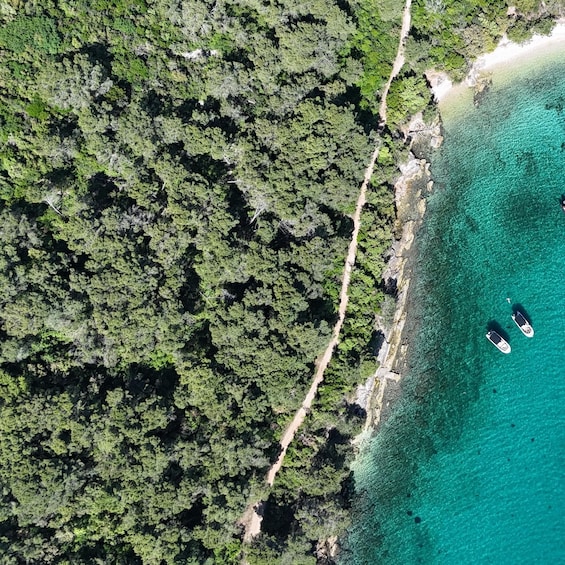 Picture 6 for Activity From Zadar: Island-Hopping Speedboat Tour with Drinks