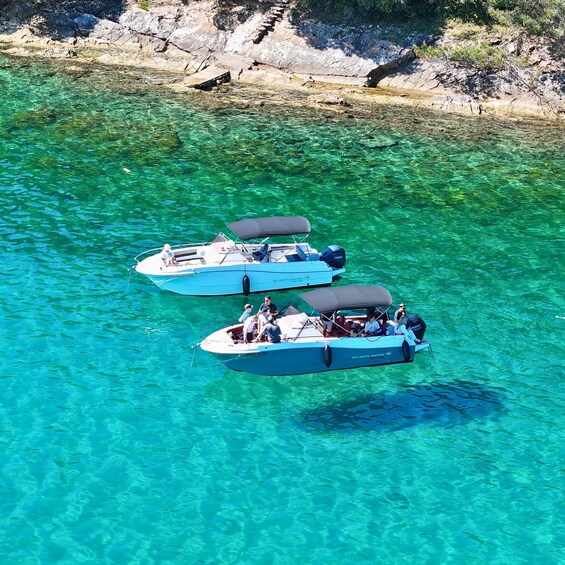 Picture 5 for Activity From Zadar: Island-Hopping Speedboat Tour with Drinks
