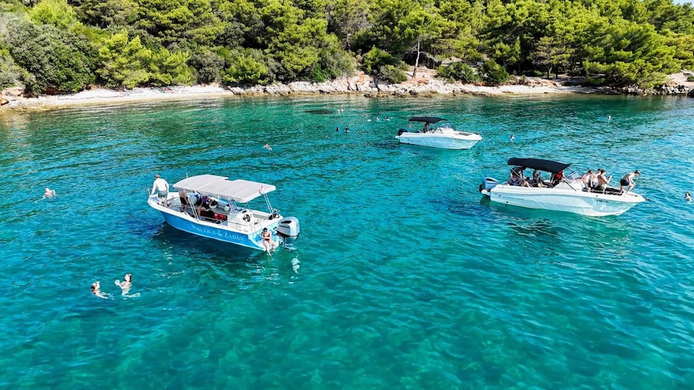 Picture 3 for Activity From Zadar: Island-Hopping Speedboat Tour with Drinks