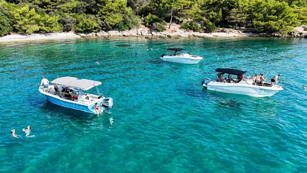 Picture 3 for Activity From Zadar: Island-Hopping Speedboat Tour with Drinks