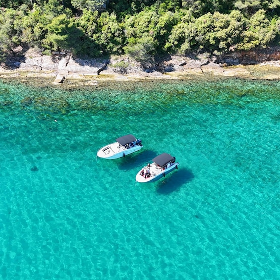 Picture 4 for Activity From Zadar: Island-Hopping Speedboat Tour with Drinks