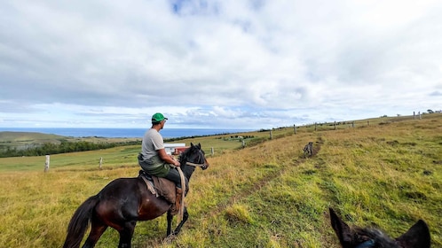 Terevaka Horse Excursion: The highest point and 360° view.