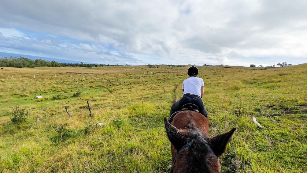 Picture 3 for Activity Terevaka Horse Excursion: The highest point and 360° view.