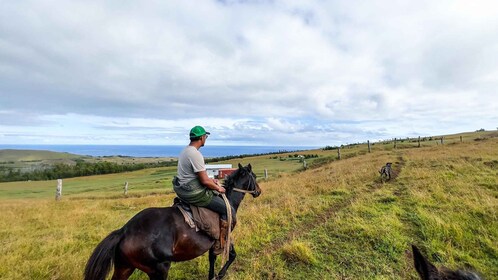 Terevaka Horse Excursion: The highest point and 360° view.