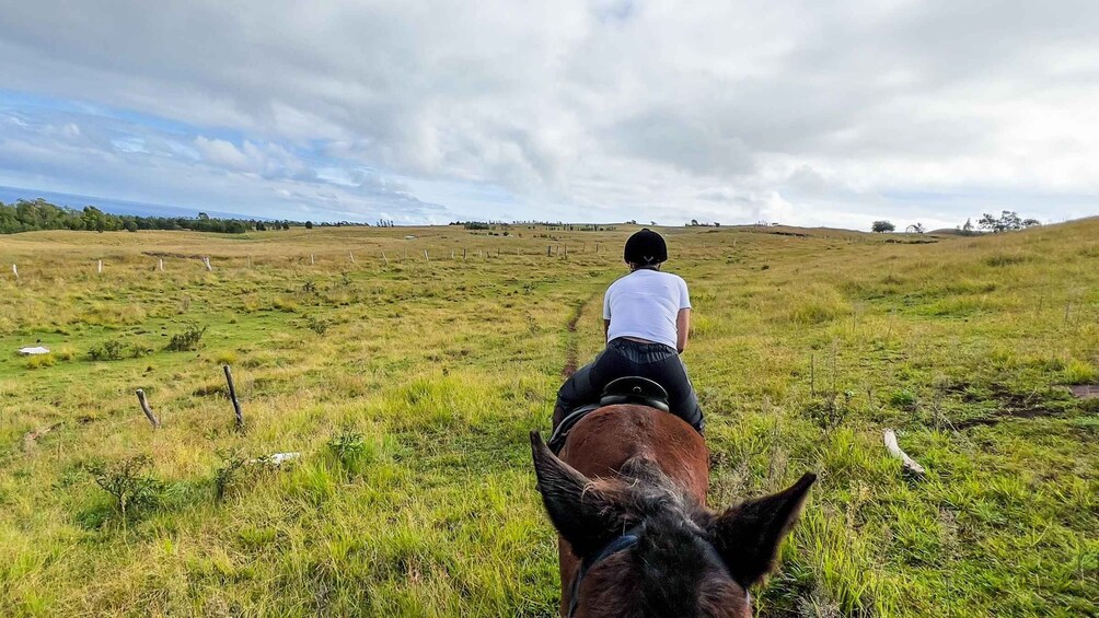 Picture 3 for Activity Terevaka Horse Excursion: The highest point and 360° view.