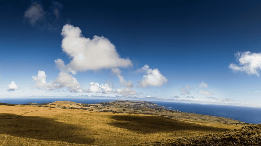 Picture 11 for Activity Terevaka Horse Excursion: The highest point and 360° view.