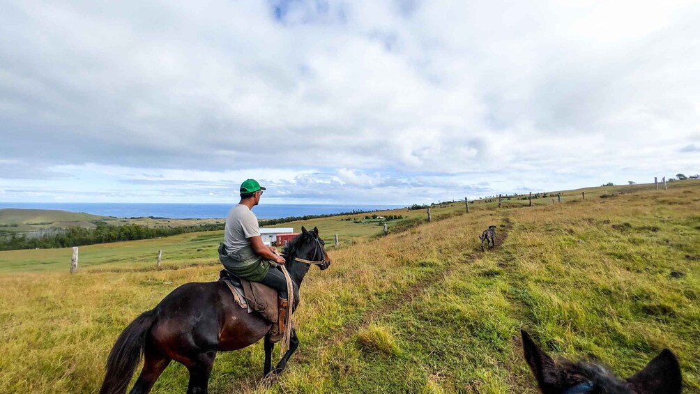 Terevaka Horse Excursion: The highest point and 360° view.