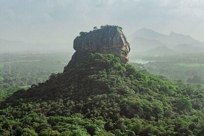 Colombo/Negombo: Sigiriya, Dambulla-grottan och safari-dagstur