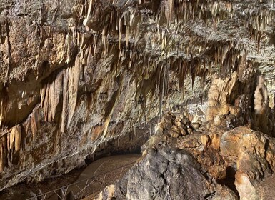 Kefalonia: Båttur med naturens underverk och strandbesök