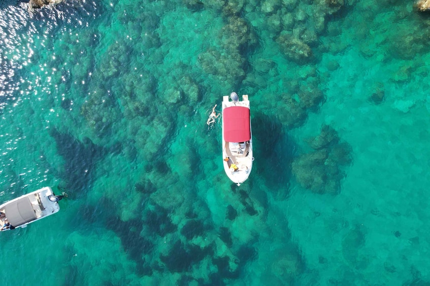 Picture 3 for Activity Dubrovnik: Blue Cave Tour by Speedboat