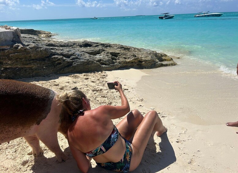 Picture 176 for Activity Nassau: Pigs, Snorkeling, Turtles, Lunch, Private Beach Club