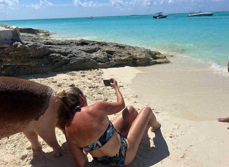 Picture 176 for Activity Nassau: Pigs, Snorkeling, Turtles, Lunch, Private Beach Club