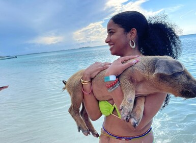 Nassau: club de playa y natación con cerdos con almuerzo