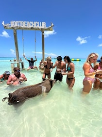 Nassau: Pigs, Snorkel, Turtles, Lunch, Private Beach Club