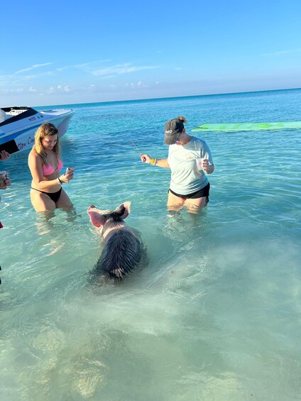 Picture 88 for Activity Nassau: Swimming Pigs, Turtle Viewing, Snorkeling, and Lunch