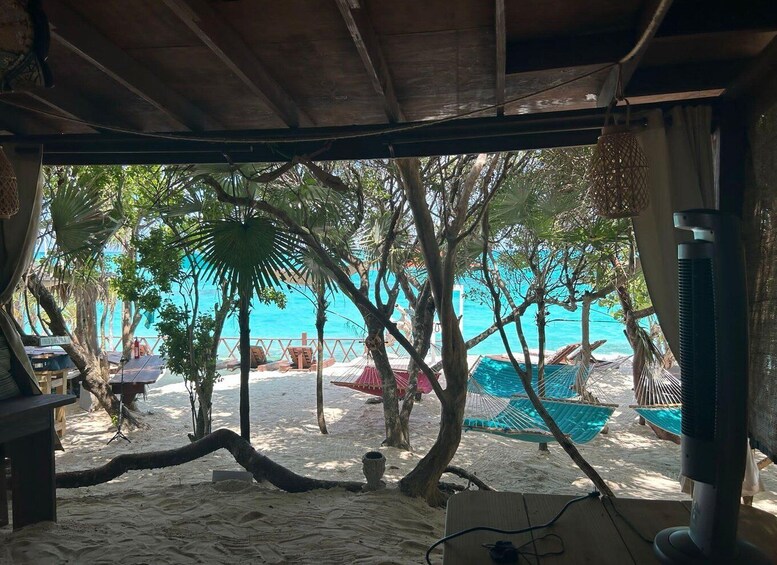Picture 57 for Activity Nassau: Pigs, Snorkeling, Turtles, Lunch, Private Beach Club