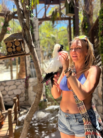 Picture 7 for Activity Nassau: Pigs, Snorkel, Turtles, Lunch, Private Beach Club