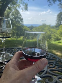 Rundturer på vingårdar i Virginia: Upplev vingårdar i Virginia