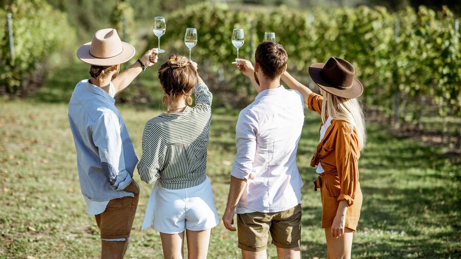 Taormina: Guided Etna Wine Tasting Half-Day Tour