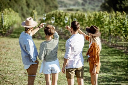 Taormina: Guided Etna Wine Tasting Half-Day Tour
