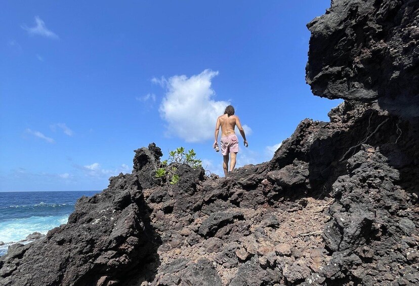 Picture 14 for Activity Pāhoa: Short Private Hike To Secret Jungle Tide Pool