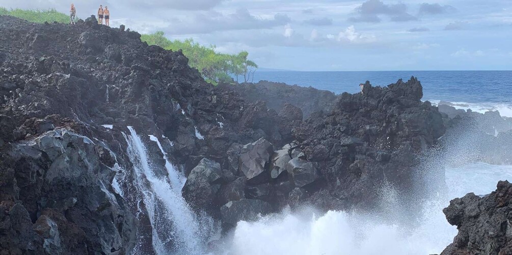 Picture 2 for Activity Pāhoa: Short Private Hike To Secret Jungle Tide Pool