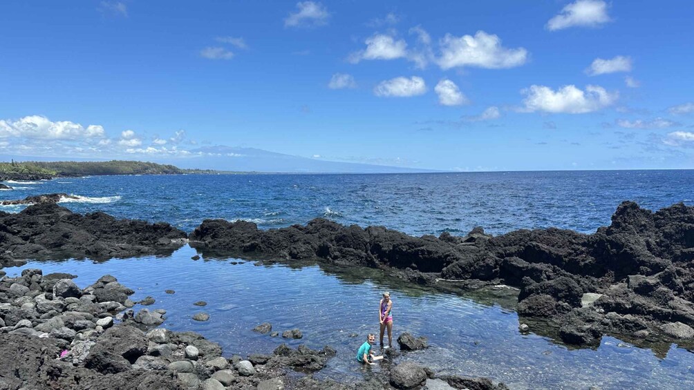 Picture 25 for Activity Pāhoa: Short Private Hike To Secret Jungle Tide Pool