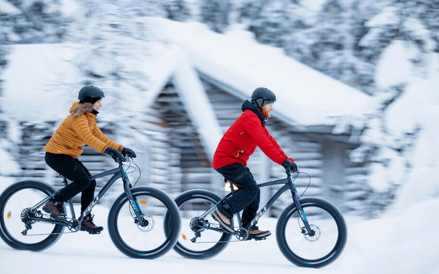 Picture 1 for Activity Ruka: Guided fatbike safari