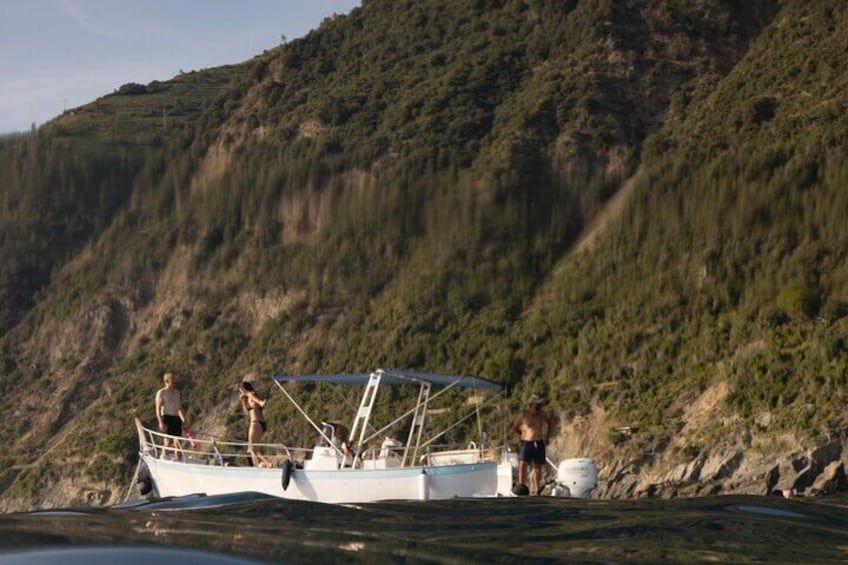 6/7-Hour Guided Tour Portovenere and Cinque Terre with aperitif