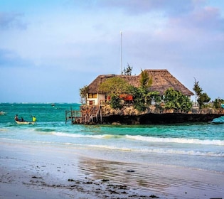 Kiwengwa/Zanzibar : Mnemba, grotte de Kuza et forêt de Jozani excursion