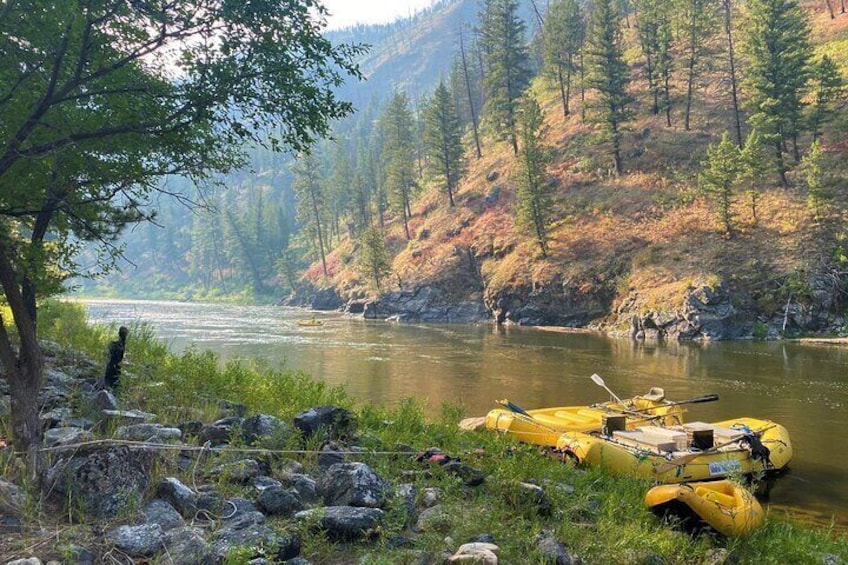 Full-Day Whitewater Rafting Tour in Salmon River