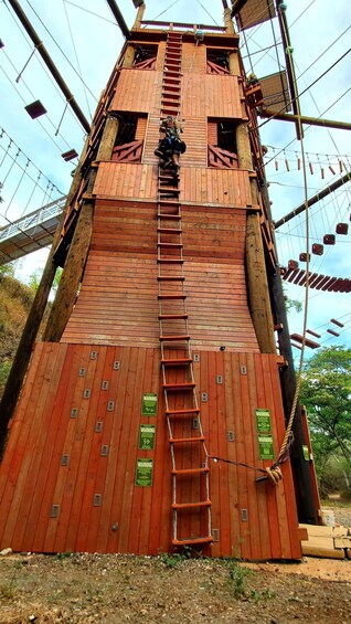 Zipline Tour & Adventure Tower Obstacle Course